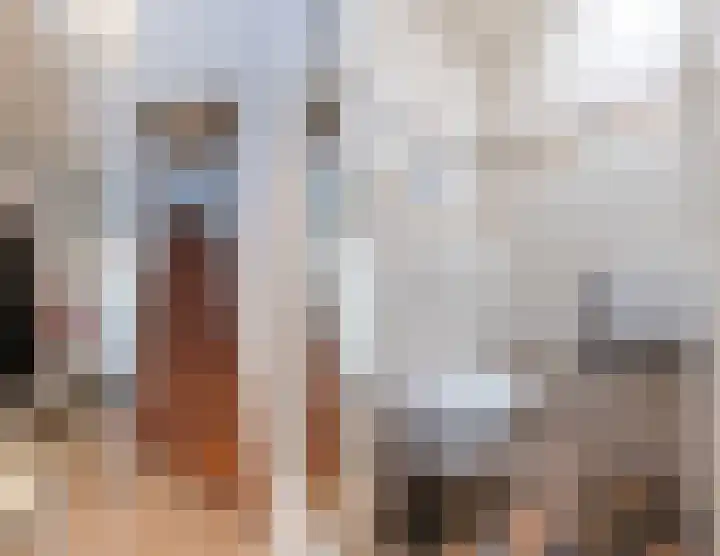 Zonnedauw 18 Mierlo thumbnail 23