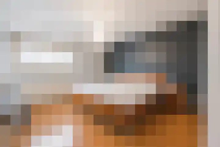 Zonnedauw 18 Mierlo thumbnail 24