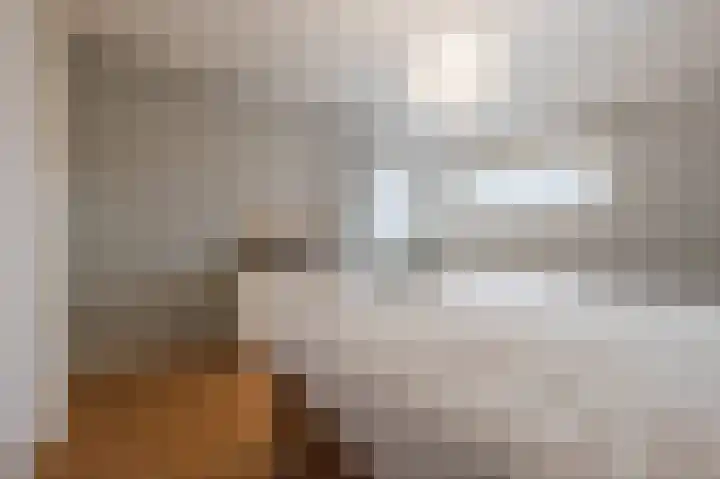 Zonnedauw 18 Mierlo thumbnail 25