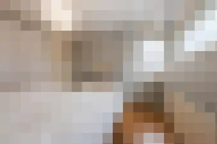 Zonnedauw 18 Mierlo thumbnail 27