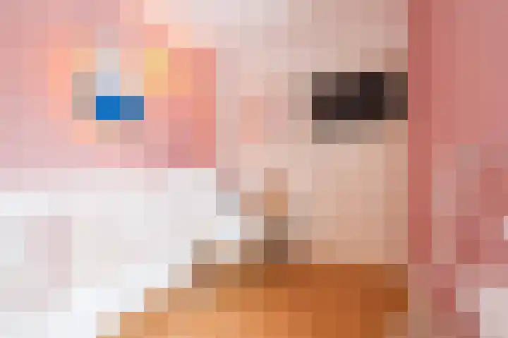 Zonnedauw 18 Mierlo thumbnail 31