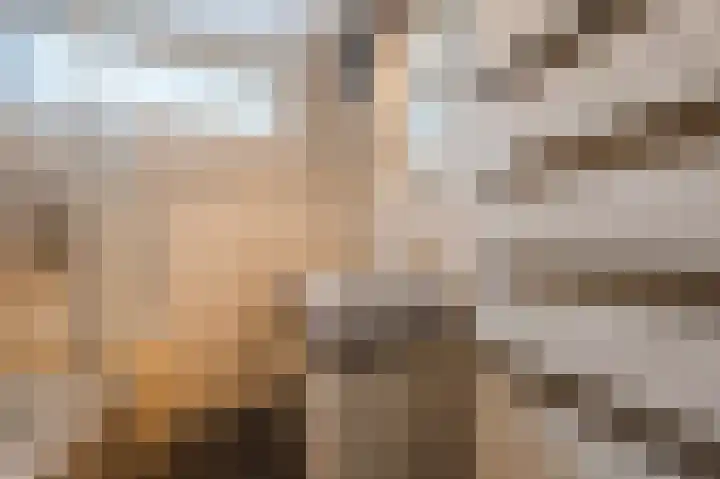Zonnedauw 18 Mierlo thumbnail 36