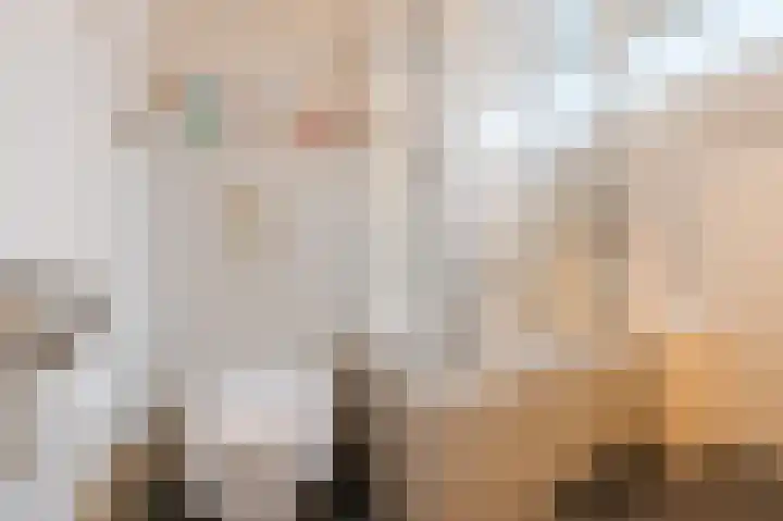 Zonnedauw 18 Mierlo thumbnail 37
