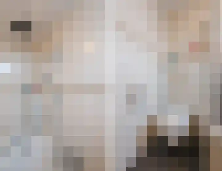 Zonnedauw 18 Mierlo thumbnail 39