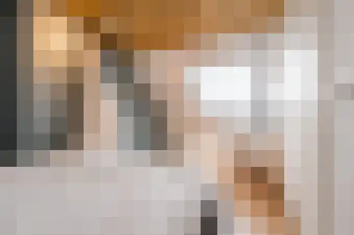 Zonnedauw 18 Mierlo thumbnail 43