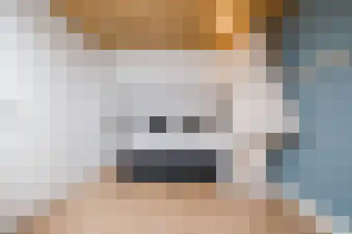 Zonnedauw 18 Mierlo thumbnail 44
