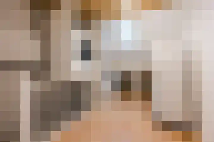 Zonnedauw 18 Mierlo thumbnail 45