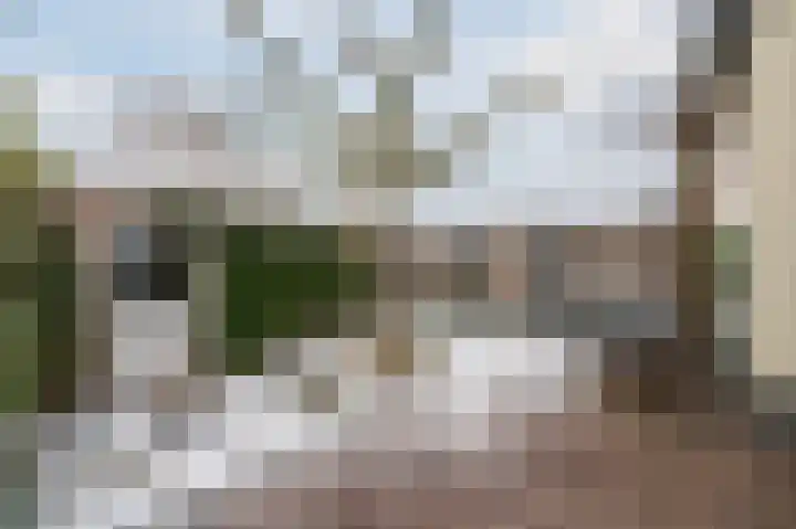 Zonnedauw 18 Mierlo thumbnail 48