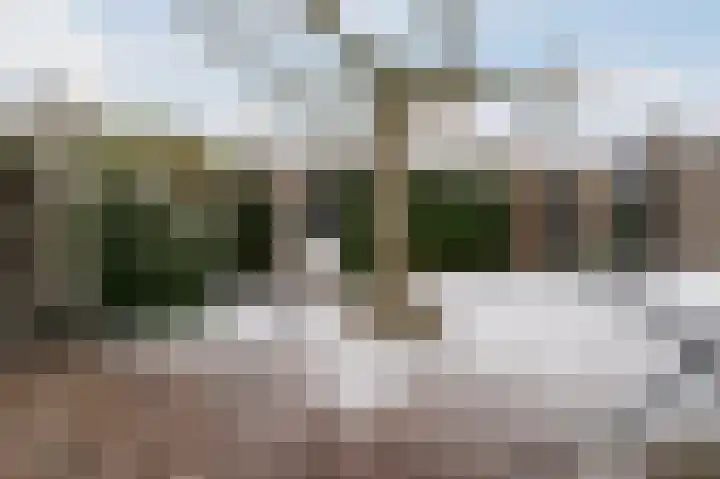 Zonnedauw 18 Mierlo thumbnail 49