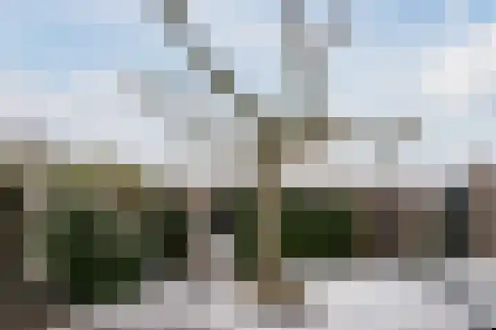 Zonnedauw 18 Mierlo thumbnail 50