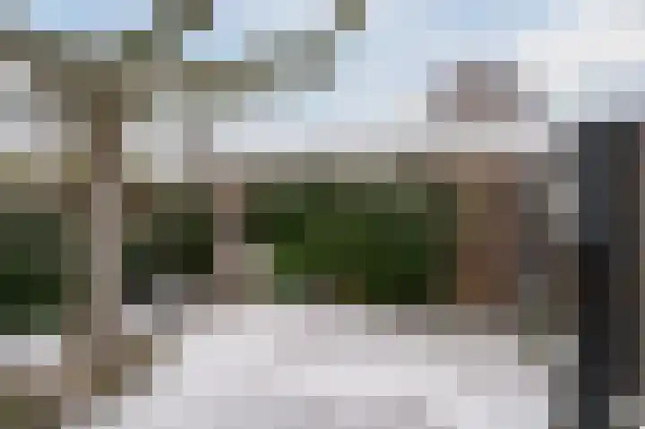 Zonnedauw 18 Mierlo thumbnail 51
