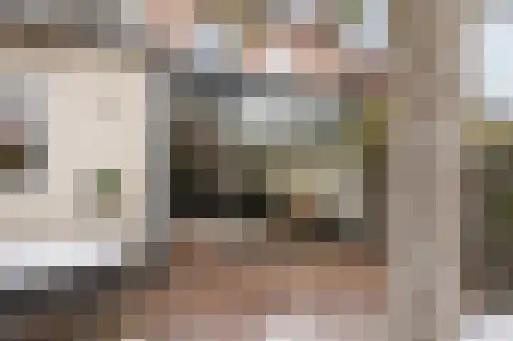 Zonnedauw 18 Mierlo thumbnail 52