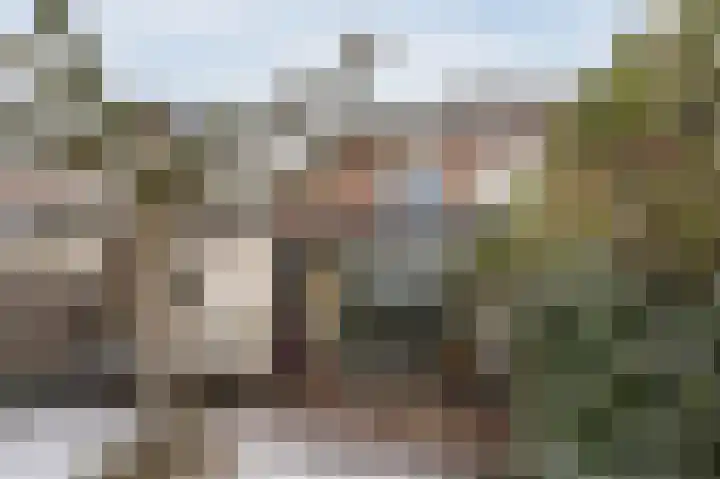Zonnedauw 18 Mierlo thumbnail 56