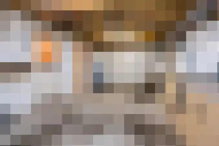 Zonnedauw 18 Mierlo thumbnail 57