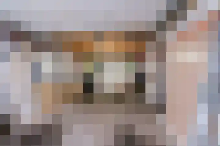 Zonnedauw 18 Mierlo thumbnail 58