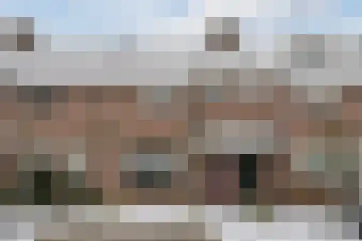 Zonnedauw 18 Mierlo thumbnail 60