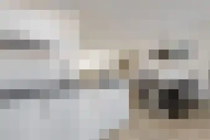 Zonnedauw 18 Tiel thumbnail 10