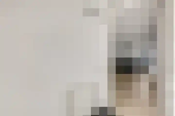 Zonnedauw 18 Tiel thumbnail 11