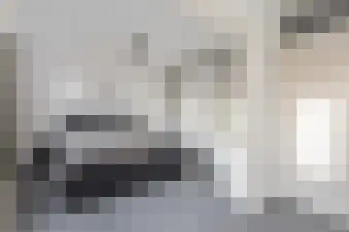 Zonnedauw 18 Tiel thumbnail 15