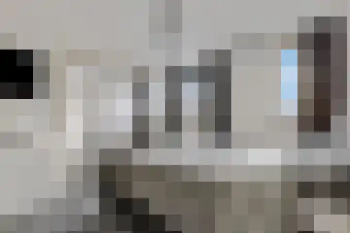 Zonnedauw 18 Tiel thumbnail 16