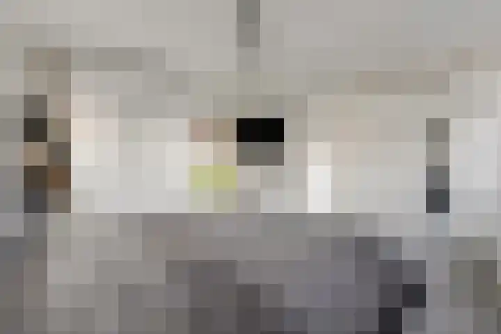 Zonnedauw 18 Tiel thumbnail 17
