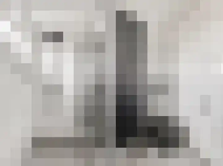 Zonnedauw 18 Tiel thumbnail 20