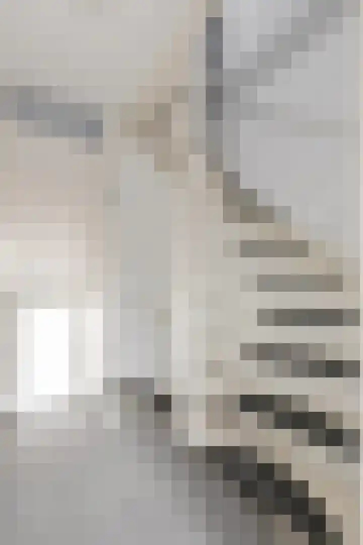 Zonnedauw 18 Tiel thumbnail 21