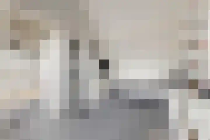 Zonnedauw 18 Tiel thumbnail 23