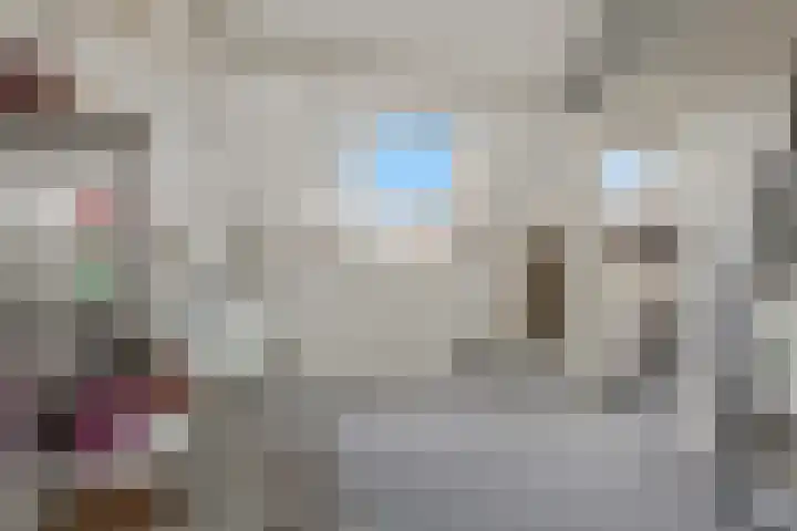 Zonnedauw 18 Tiel thumbnail 24