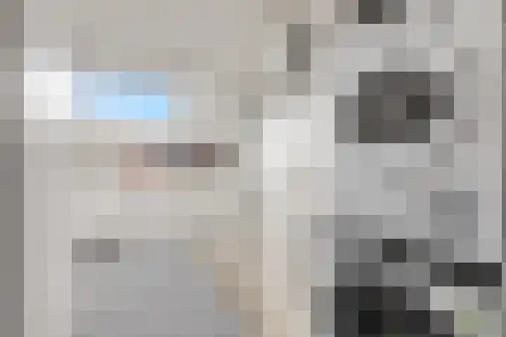 Zonnedauw 18 Tiel thumbnail 25