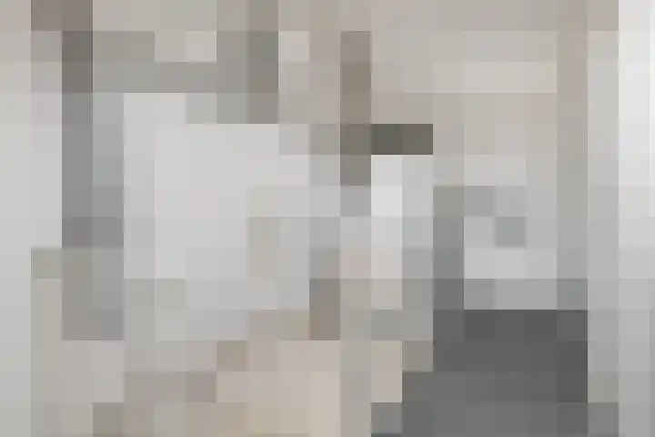 Zonnedauw 18 Tiel thumbnail 26