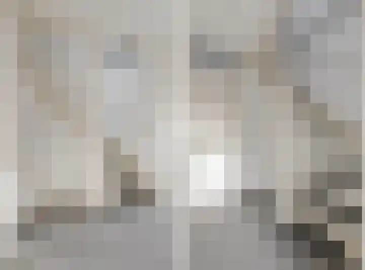 Zonnedauw 18 Tiel thumbnail 27