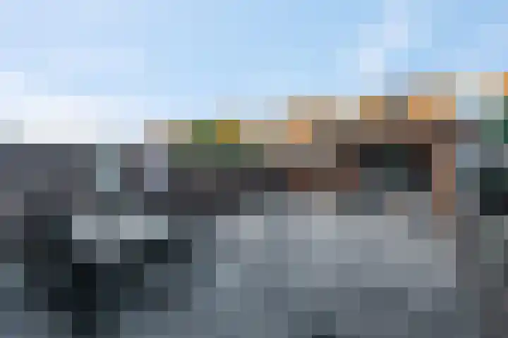 Zonnedauw 18 Tiel thumbnail 28