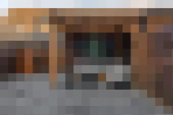 Zonnedauw 18 Tiel thumbnail 29