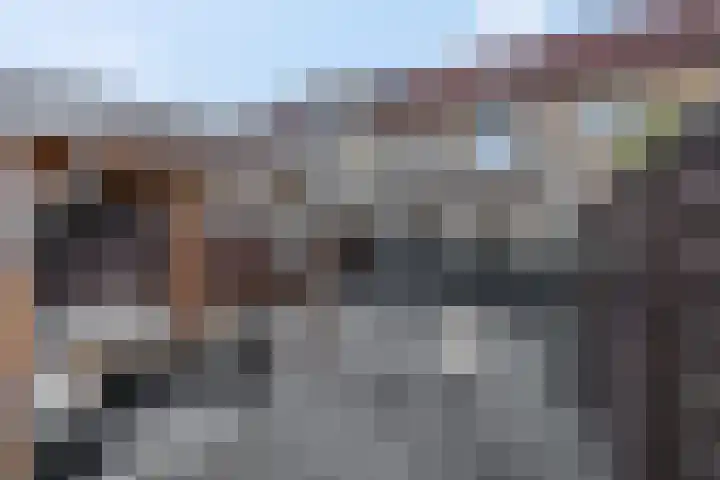 Zonnedauw 18 Tiel thumbnail 30