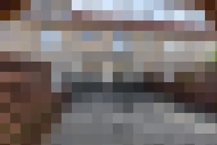 Zonnedauw 18 Tiel thumbnail 31