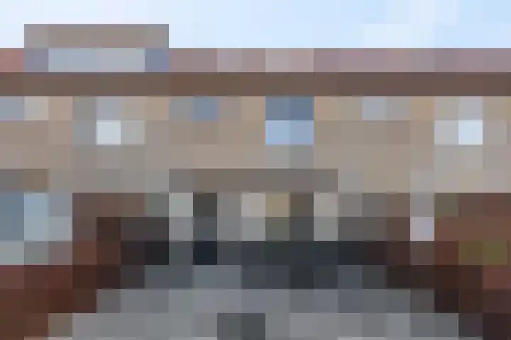 Zonnedauw 18 Tiel thumbnail 32