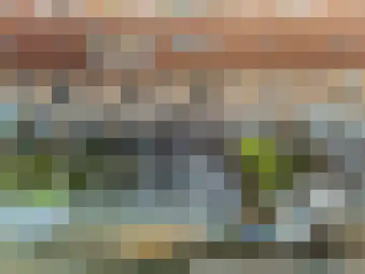 Zonnedauw 18 Tiel thumbnail 33