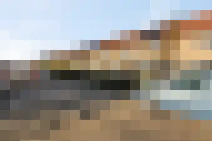 Zonnedauw 18 Tiel thumbnail 34