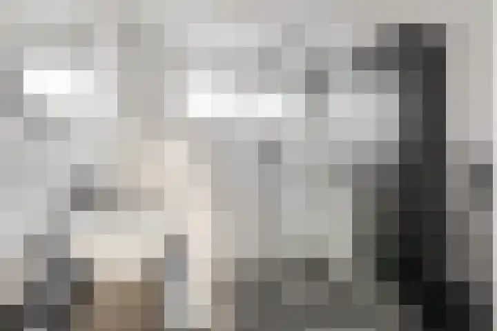 Zonnedauw 18 Tiel thumbnail 4
