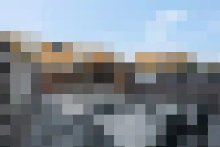 Zonnedauw 18 Tiel thumbnail 5