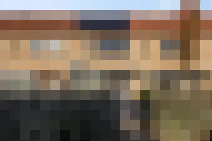 Zonnedauw 18 Tiel thumbnail 6