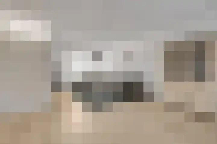 Zonnedauw 18 Tiel thumbnail 7
