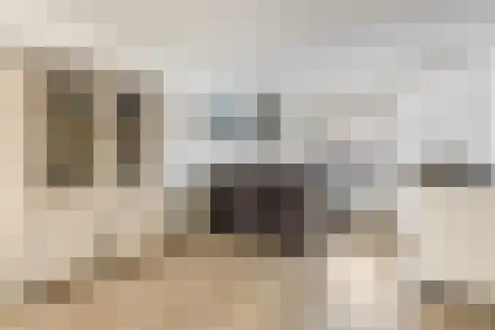 Zonnedauw 18 Tiel thumbnail 9