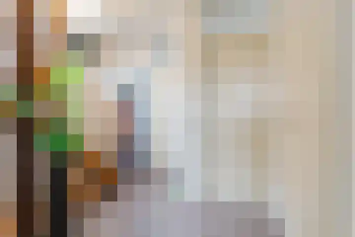 Zonnedauw 198 Tiel thumbnail 17