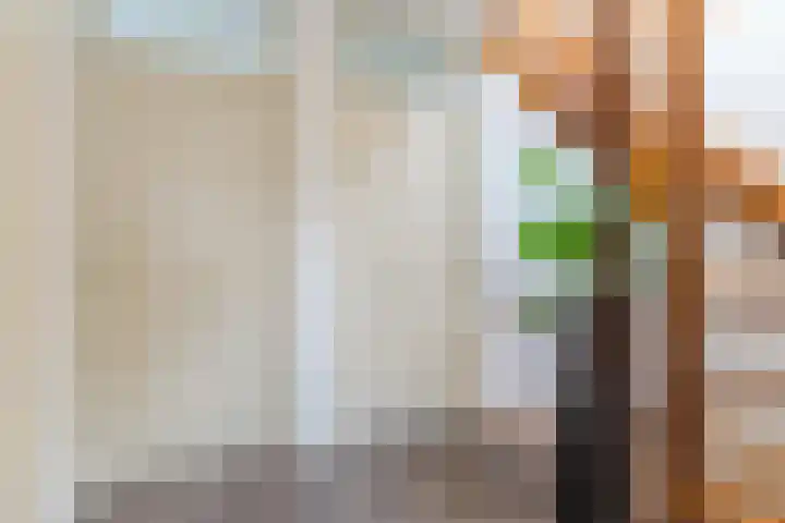 Zonnedauw 198 Tiel thumbnail 18