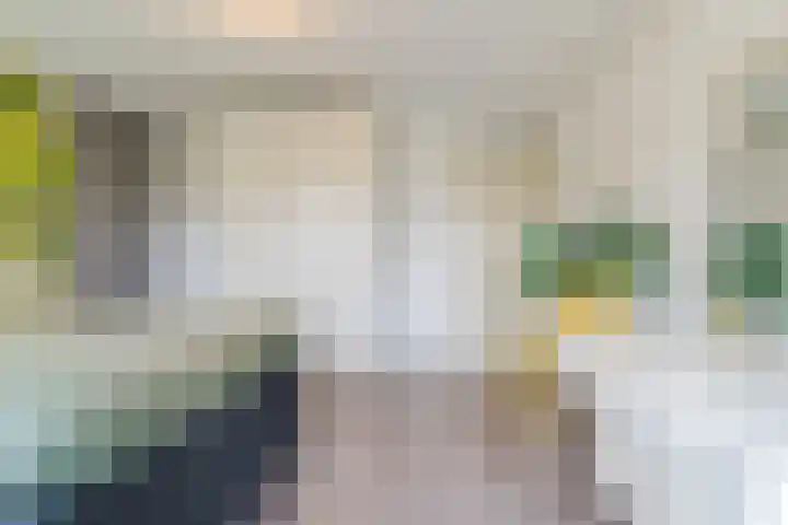 Zonnedauw 198 Tiel thumbnail 21