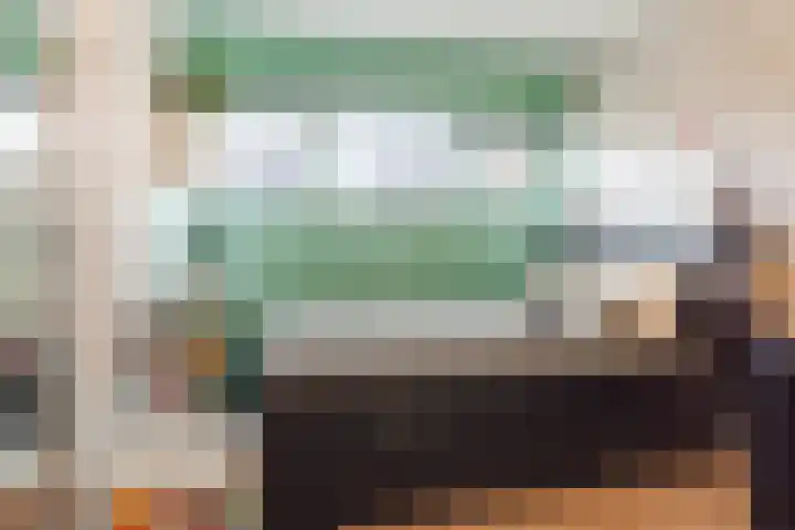 Zonnedauw 198 Tiel thumbnail 22