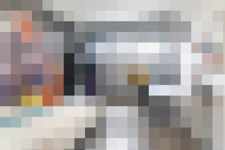 Zonnedauw 198 Tiel thumbnail 24