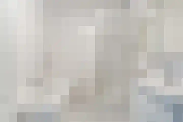 Zonnedauw 198 Tiel thumbnail 29